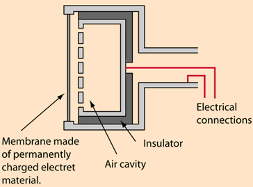 fig5_ecm