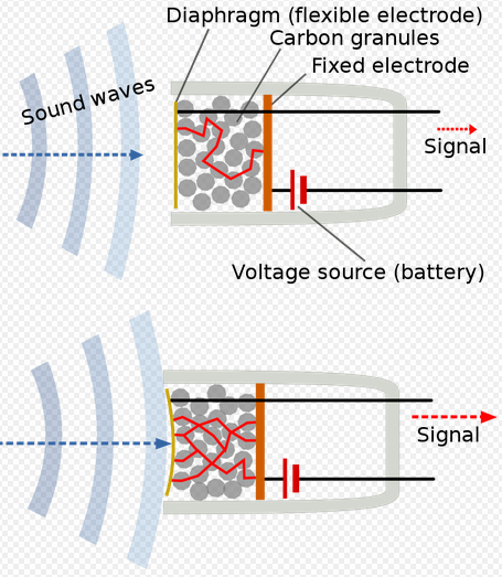 fig9_carbon_mic